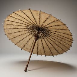 Original umbrella image