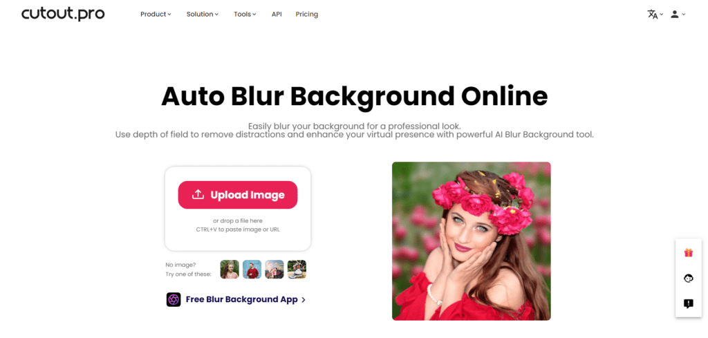 Blur Background Tool by Cutout.pro