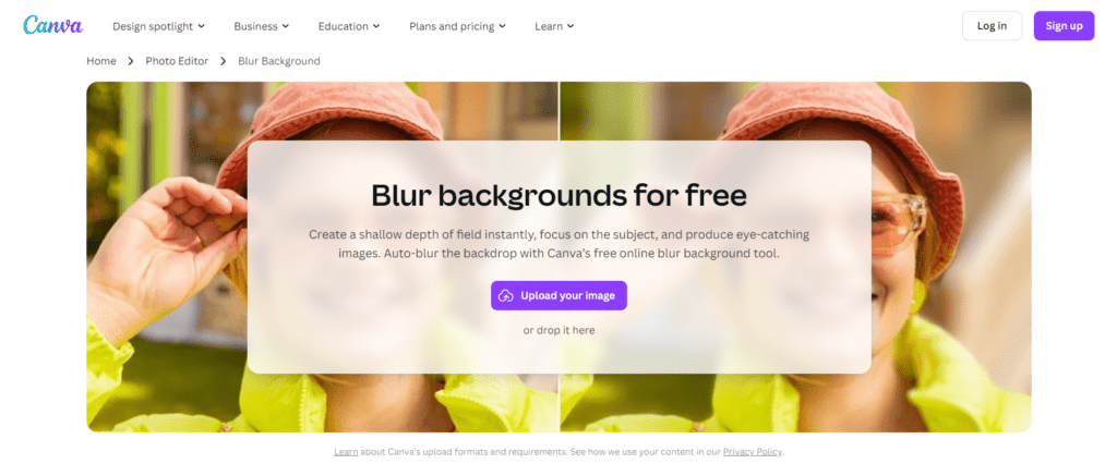 Blur Background Tool by Canva