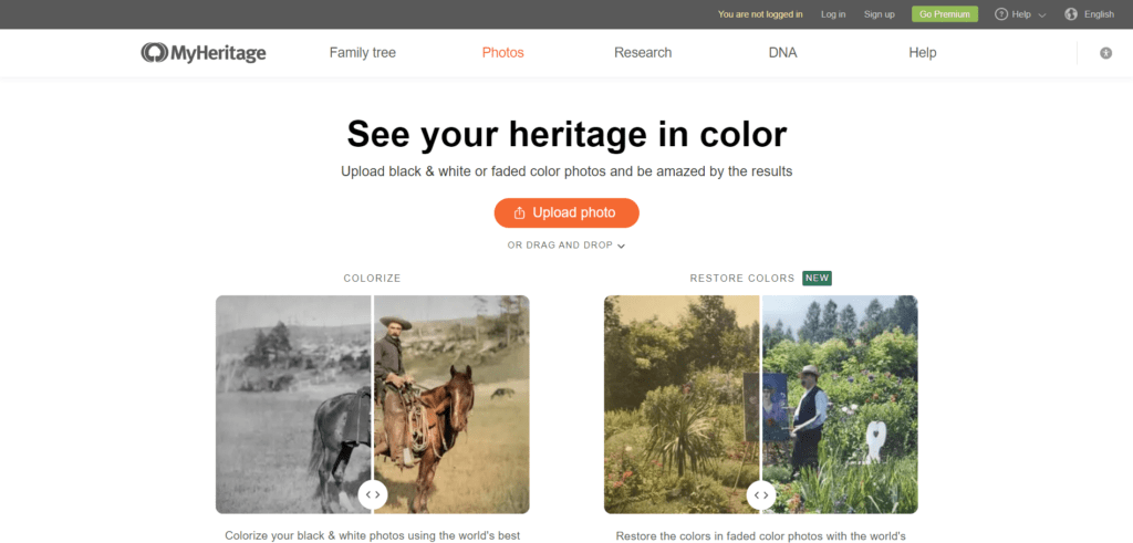 Incolor By Heritage